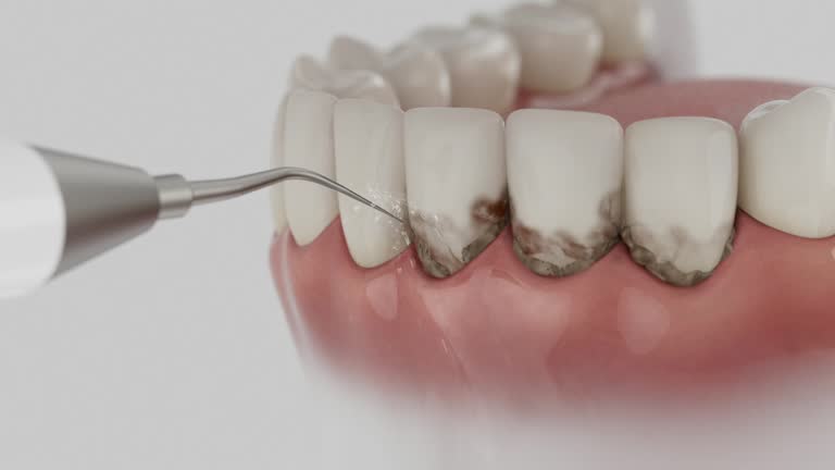Reliable Dental contractor in Michigan, MI by Dentist Open Now